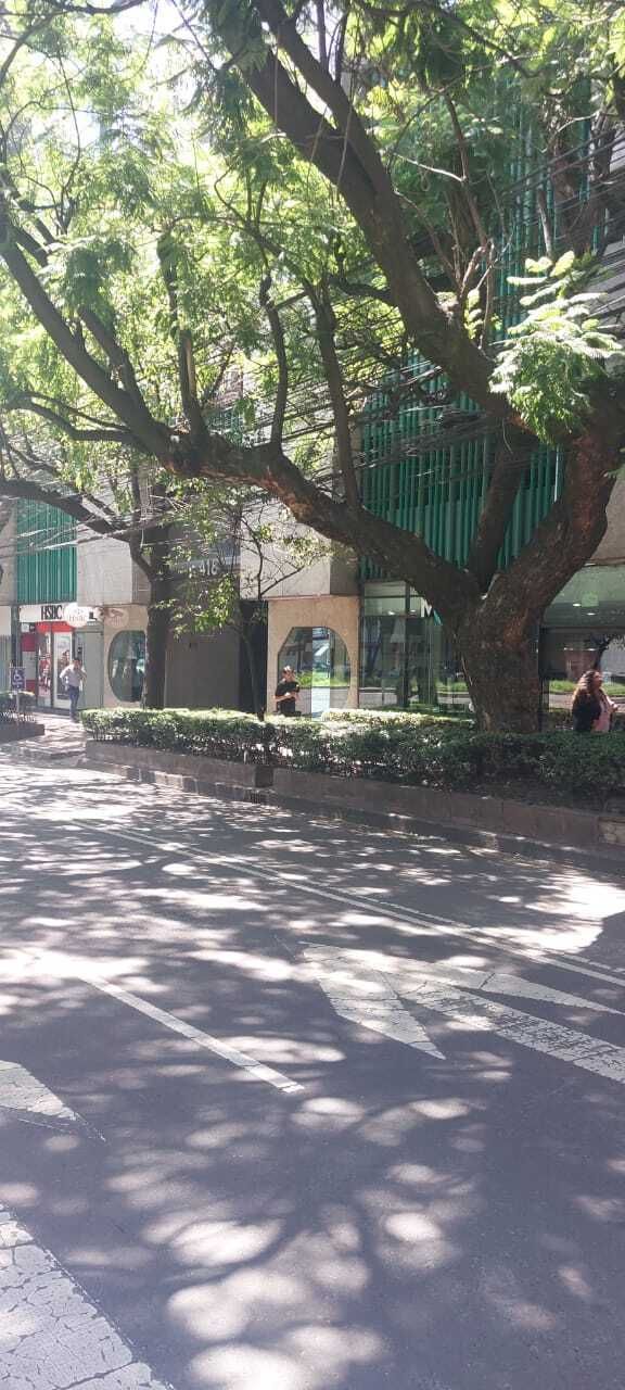 11 de 18
