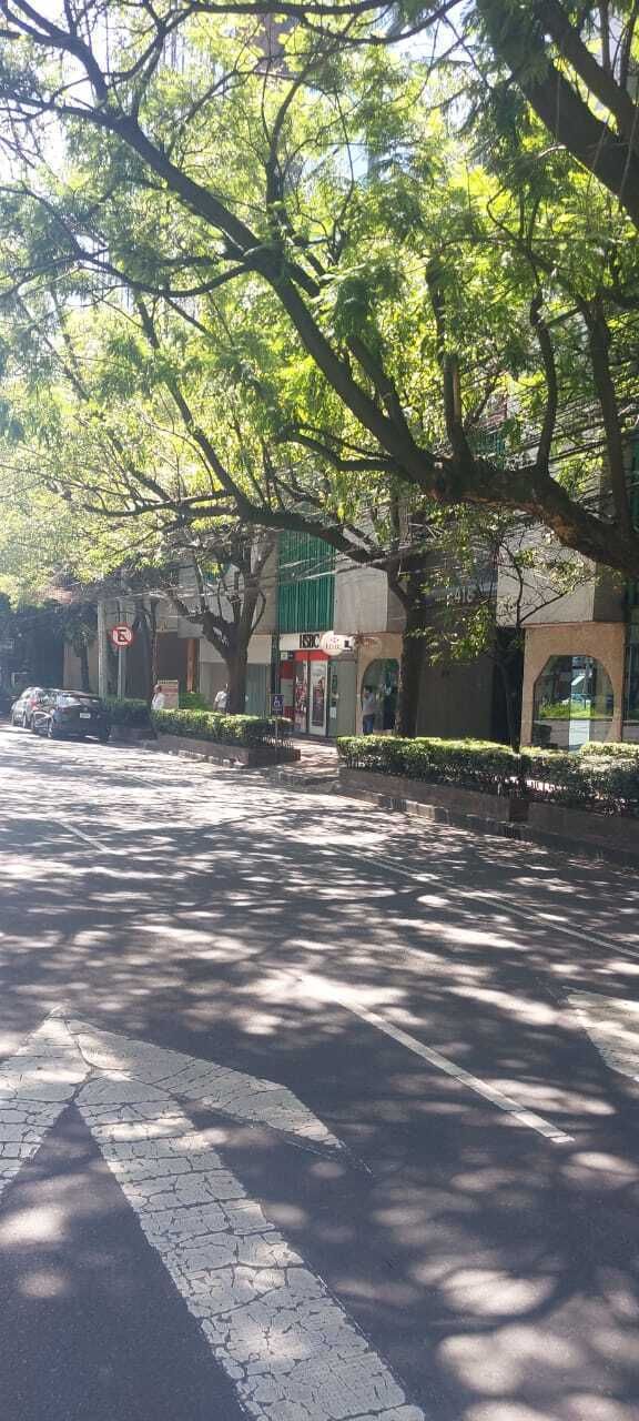 10 de 18