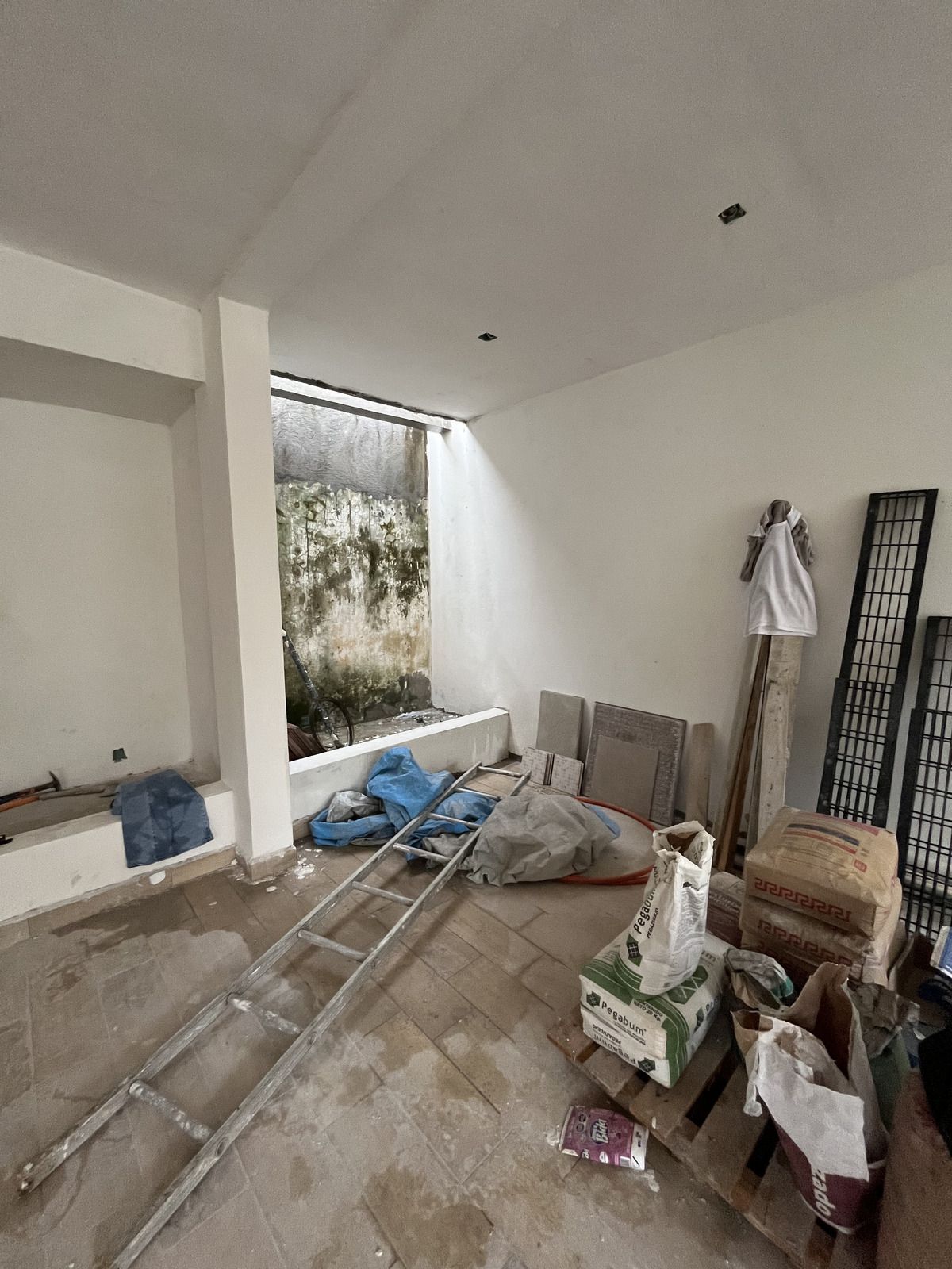 4 of 17: Jardin interior