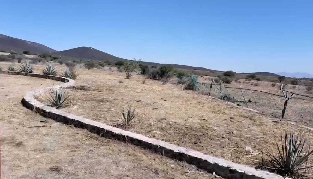 4 de 15