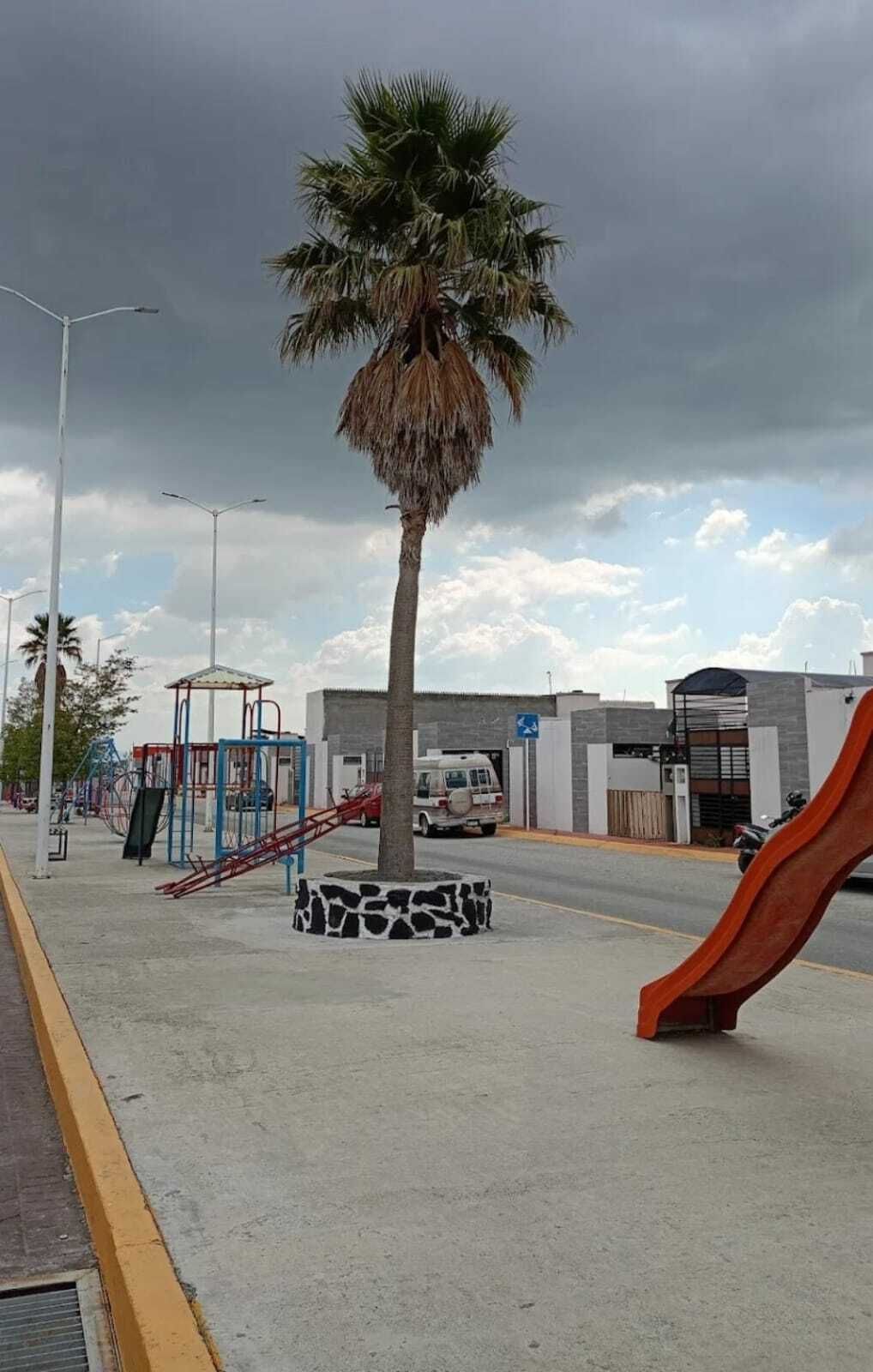 3 de 11