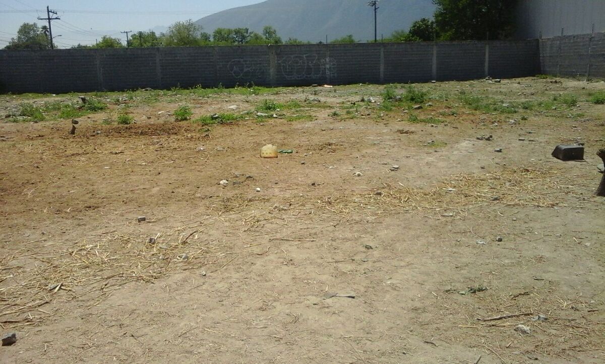 4 de 4