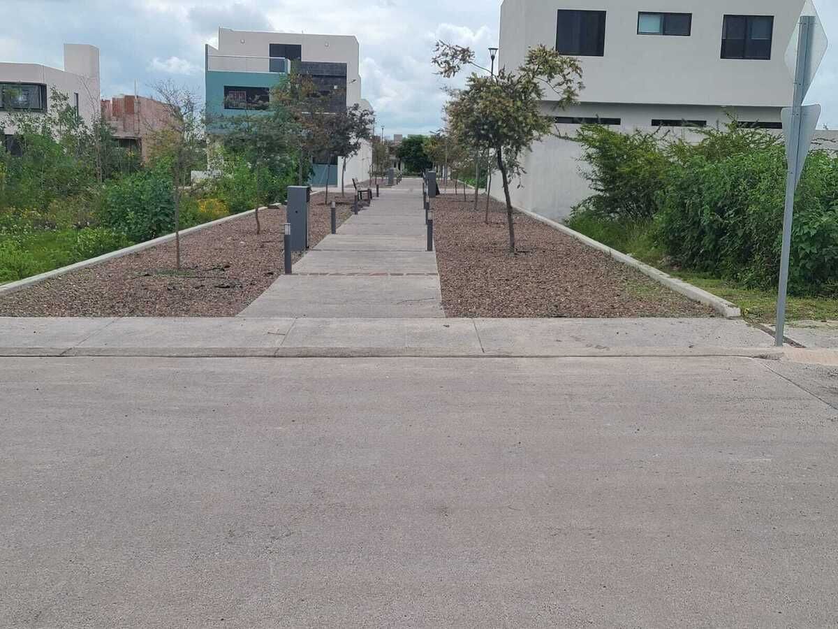 6 de 13