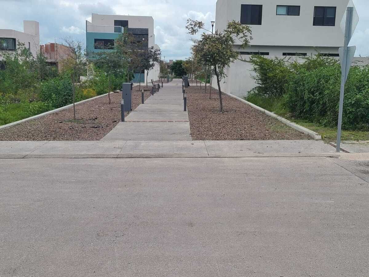 7 de 13