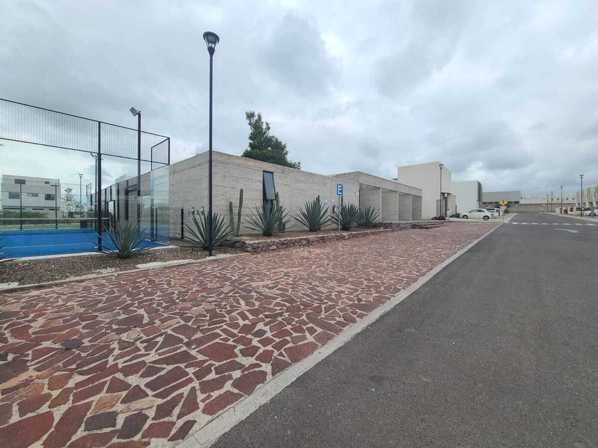 11 de 13