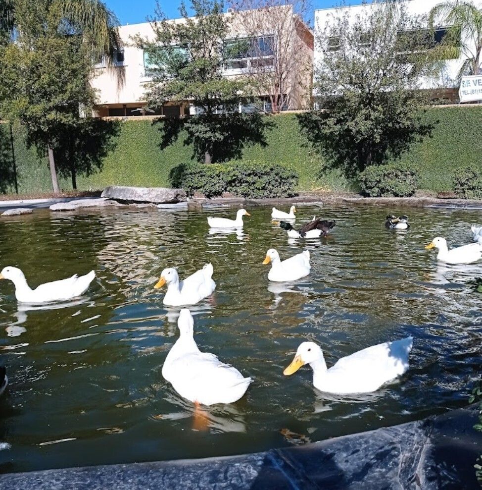 7 of 7