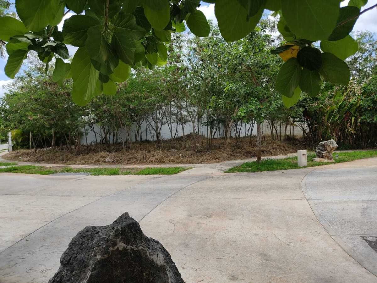 3 de 5