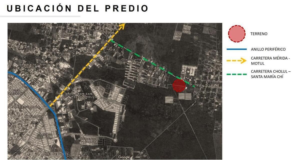 6 de 7