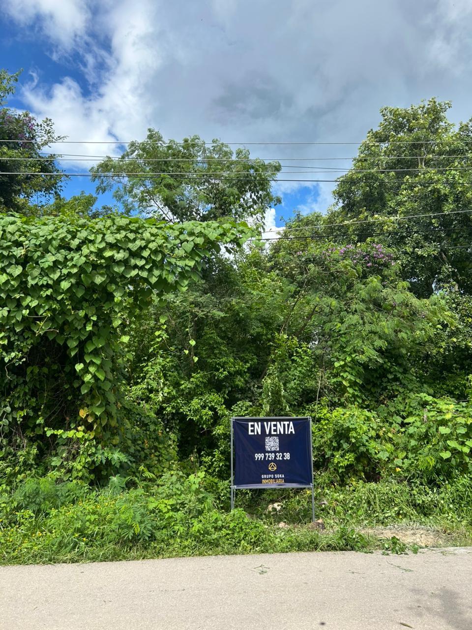 1 de 8