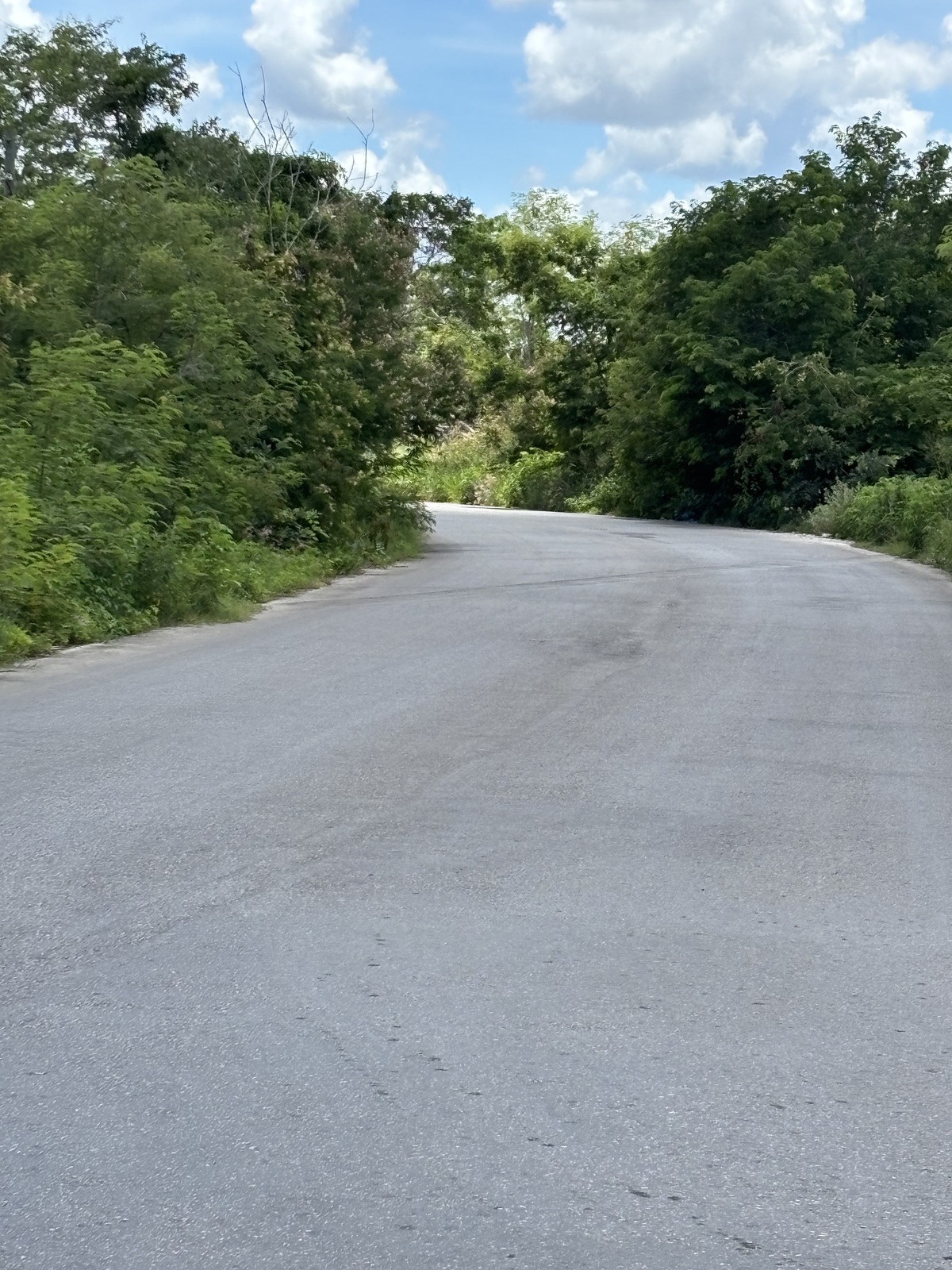 5 de 6