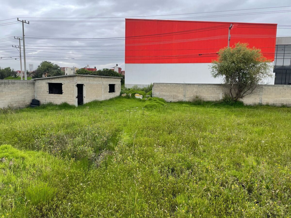 9 de 38