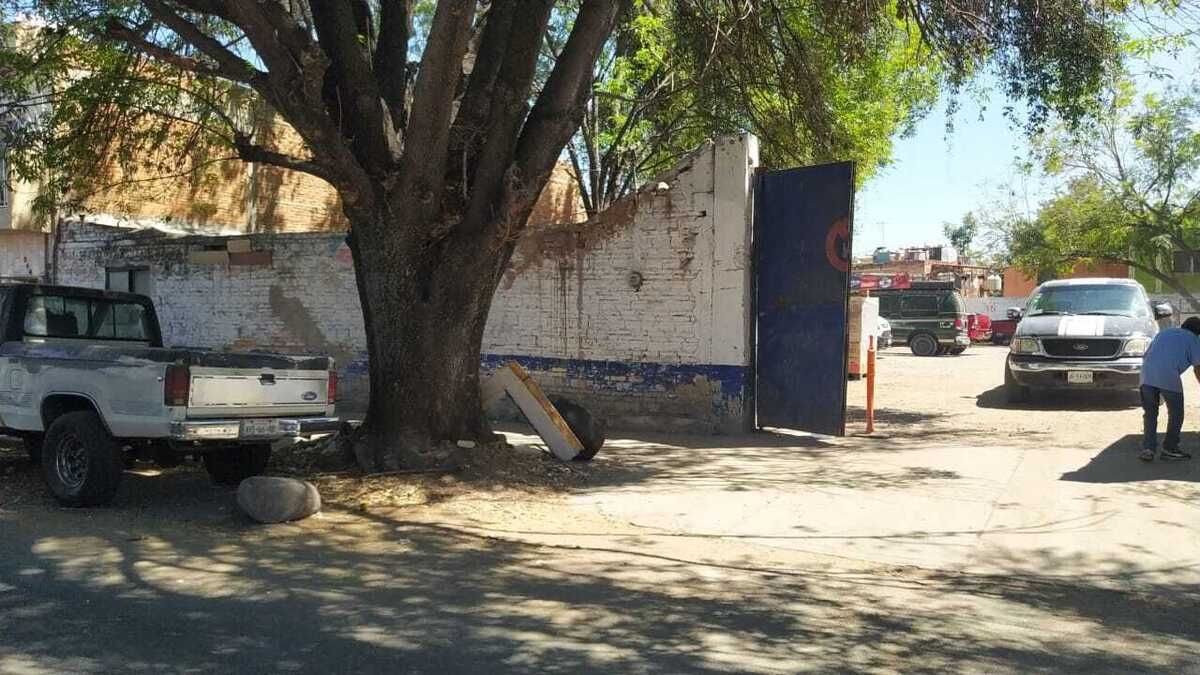 1 de 15