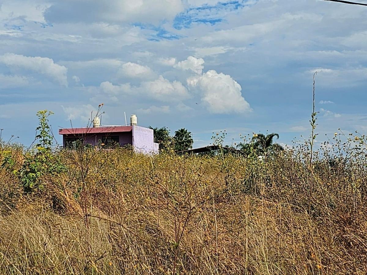 1 de 5