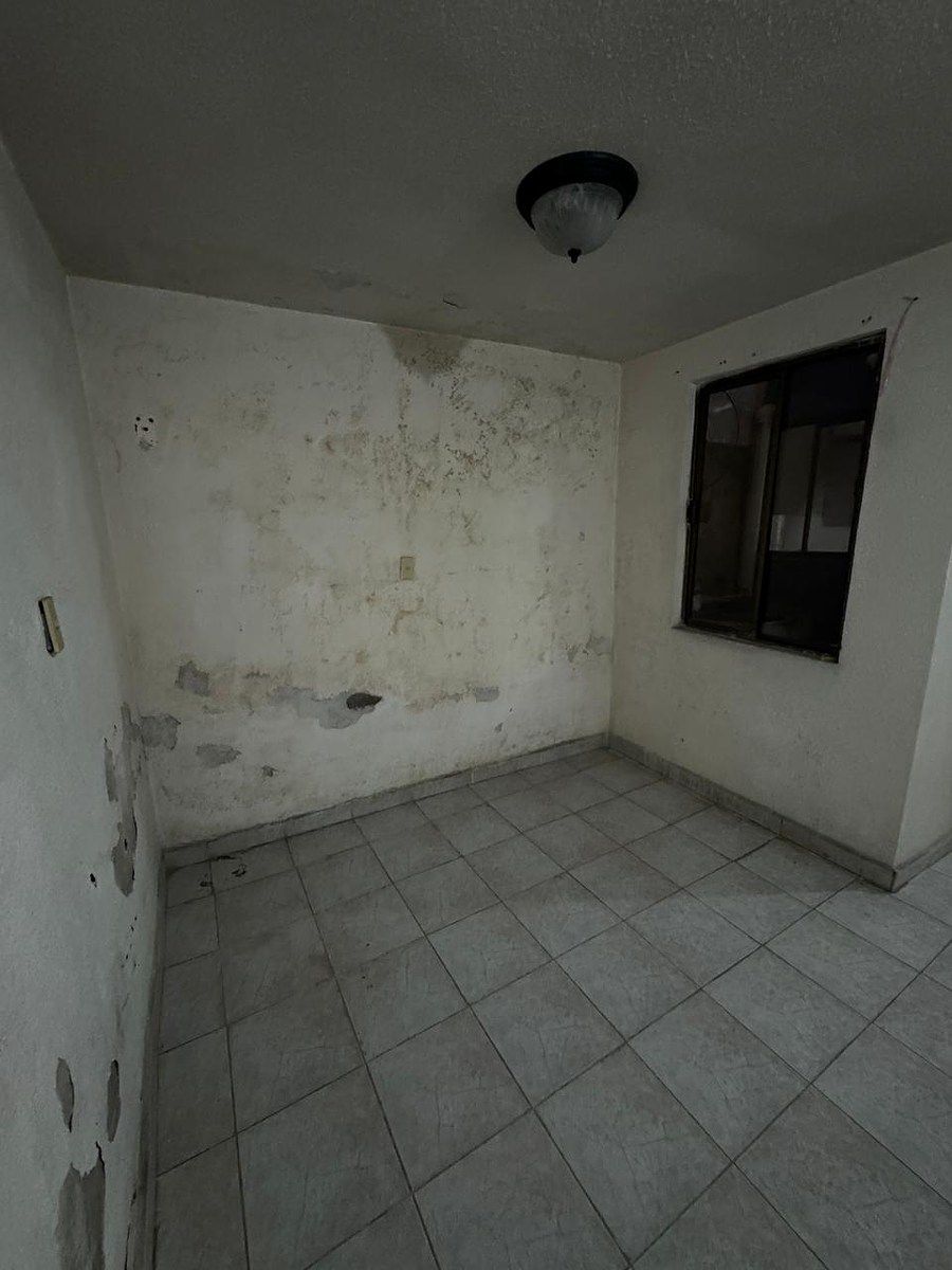 Imagen 6 de 9