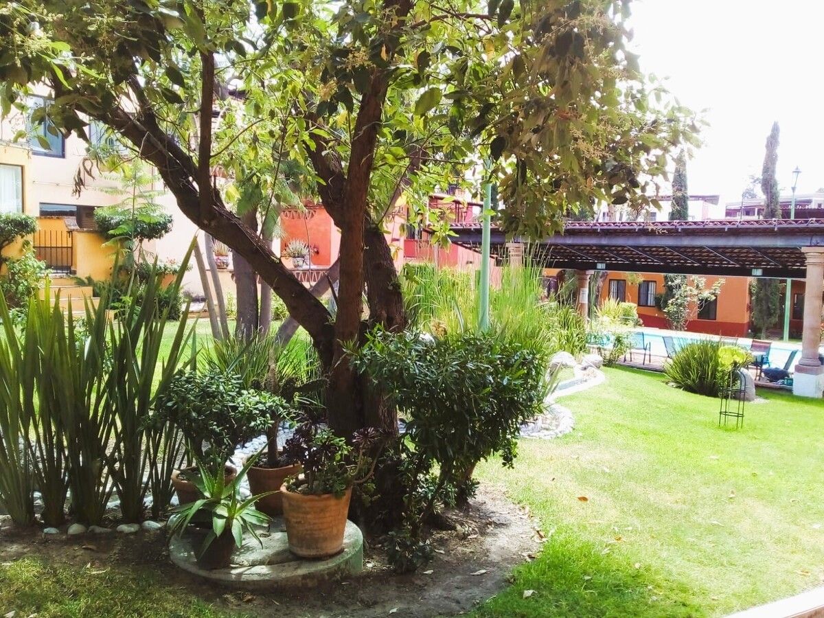 2 de 17