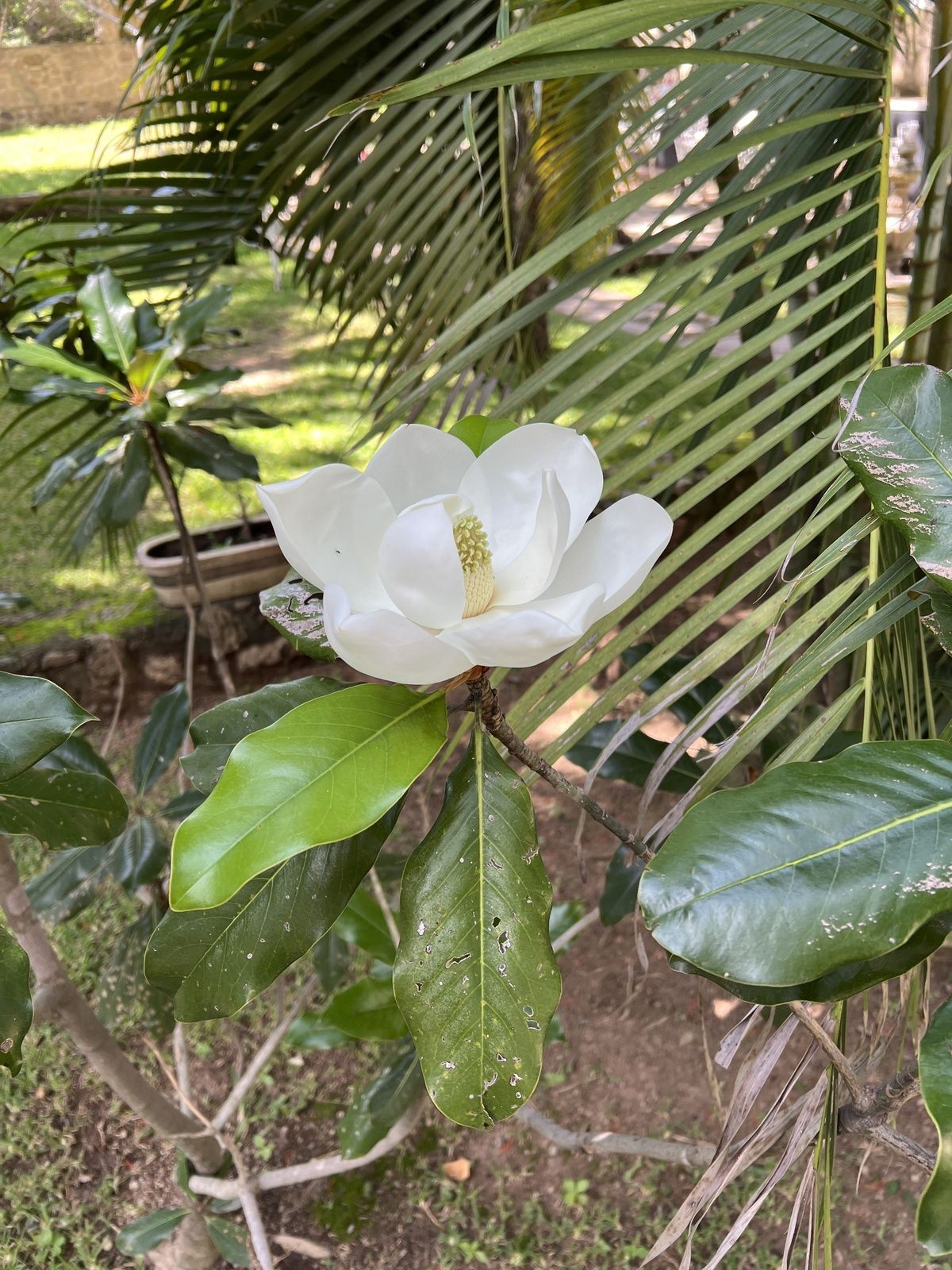 13 de 13