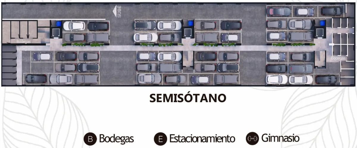 5 de 12