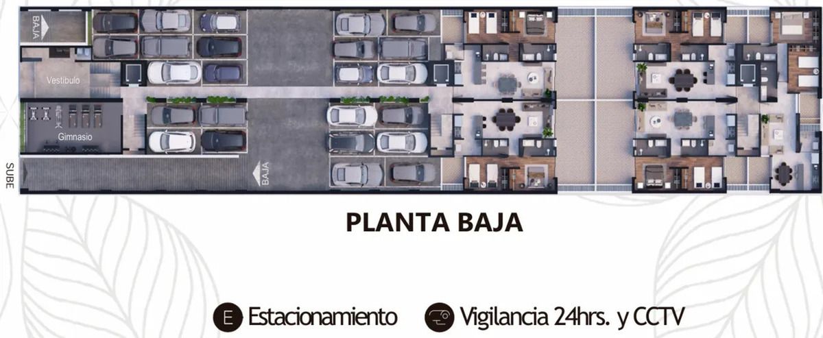 6 de 12