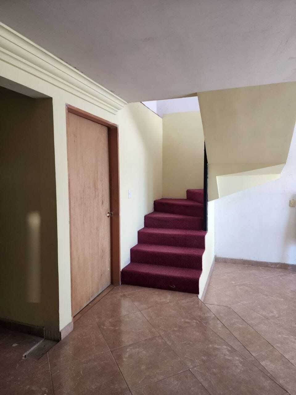 5 de 20