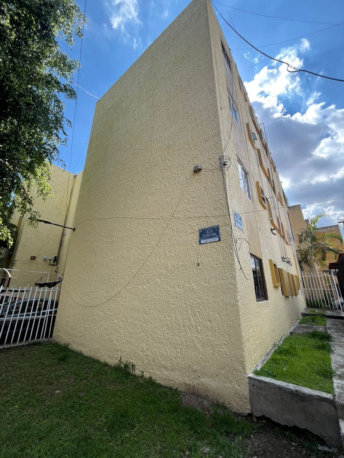 11 de 12