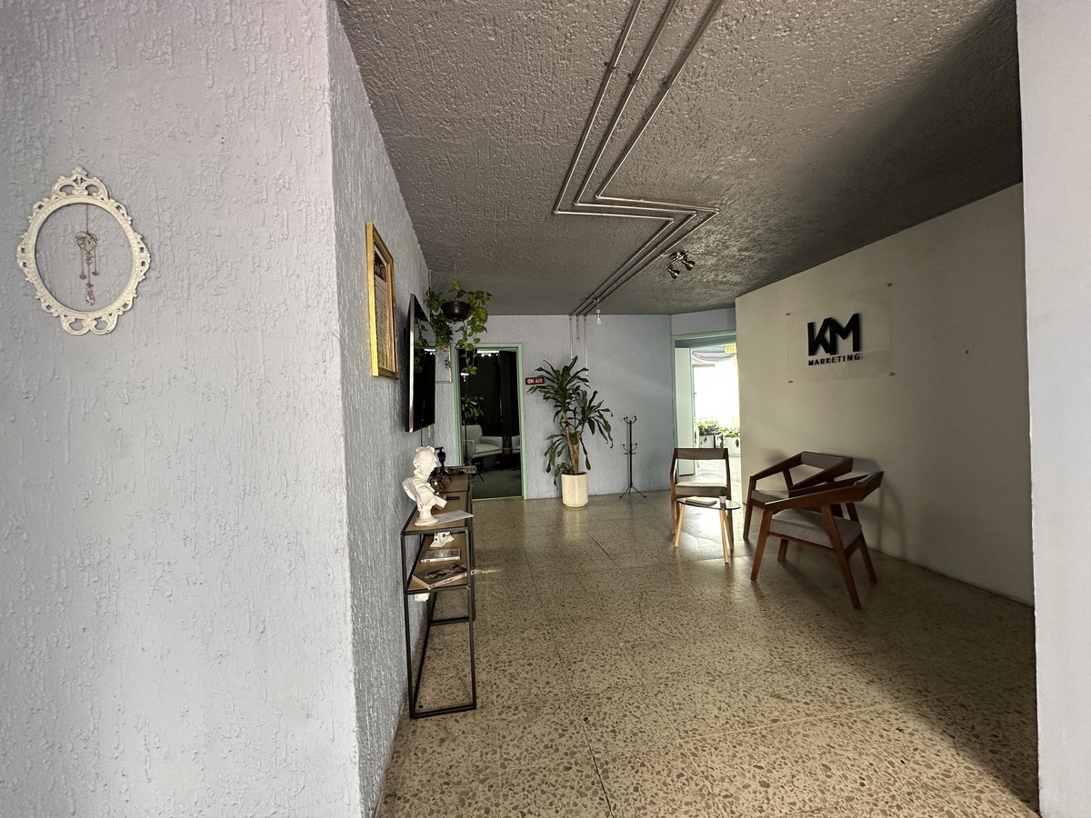 3 de 6