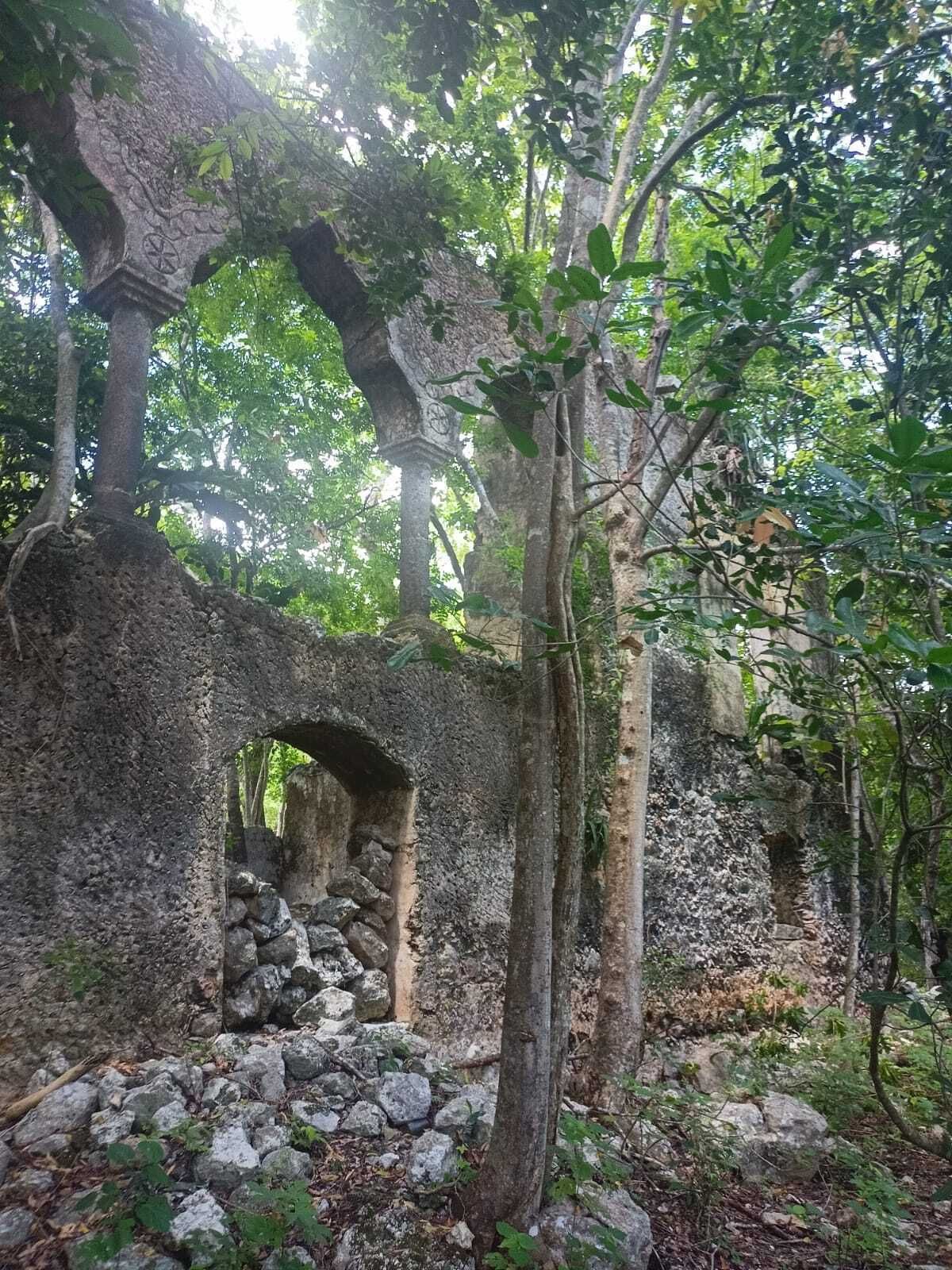 2 de 49