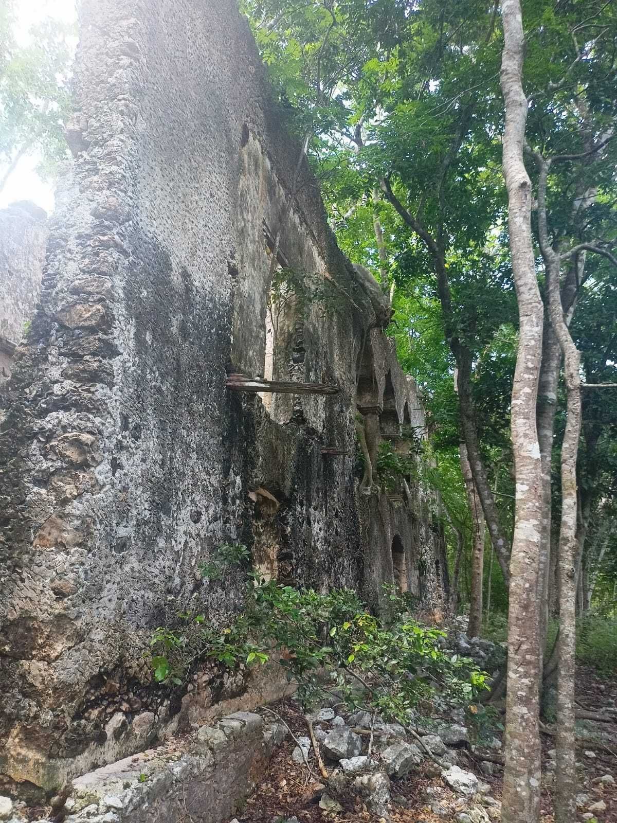 6 de 49