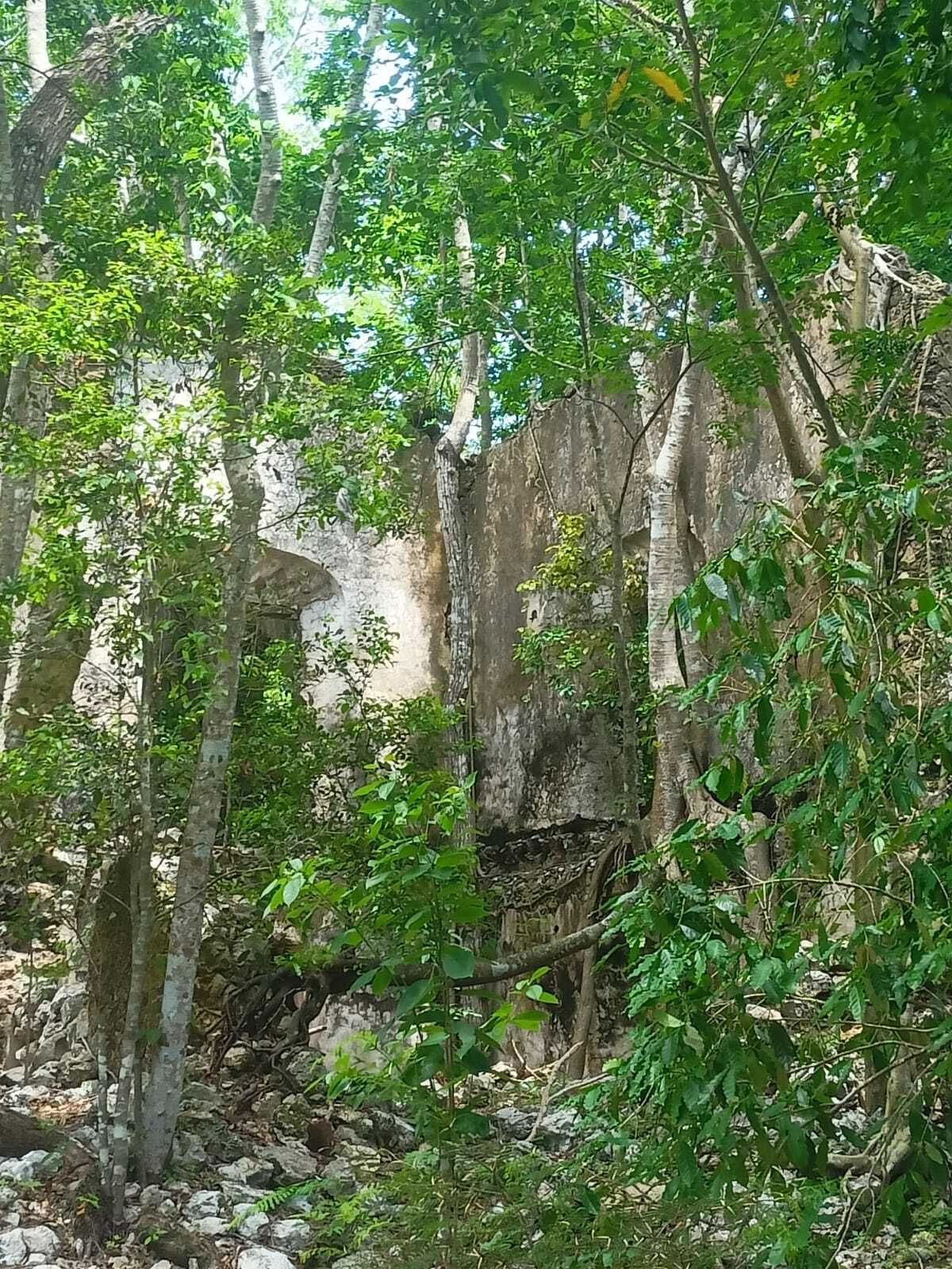 10 de 49
