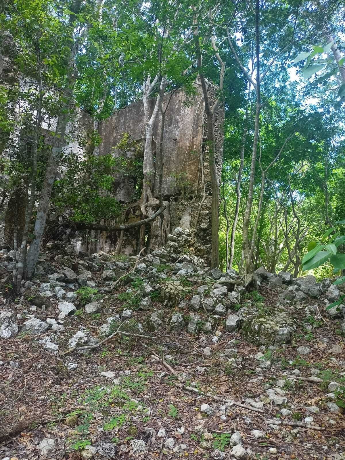 12 de 49