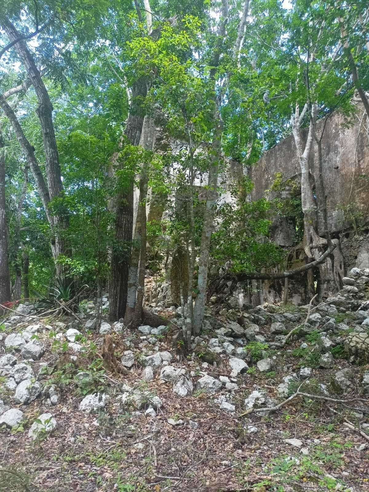 14 de 49