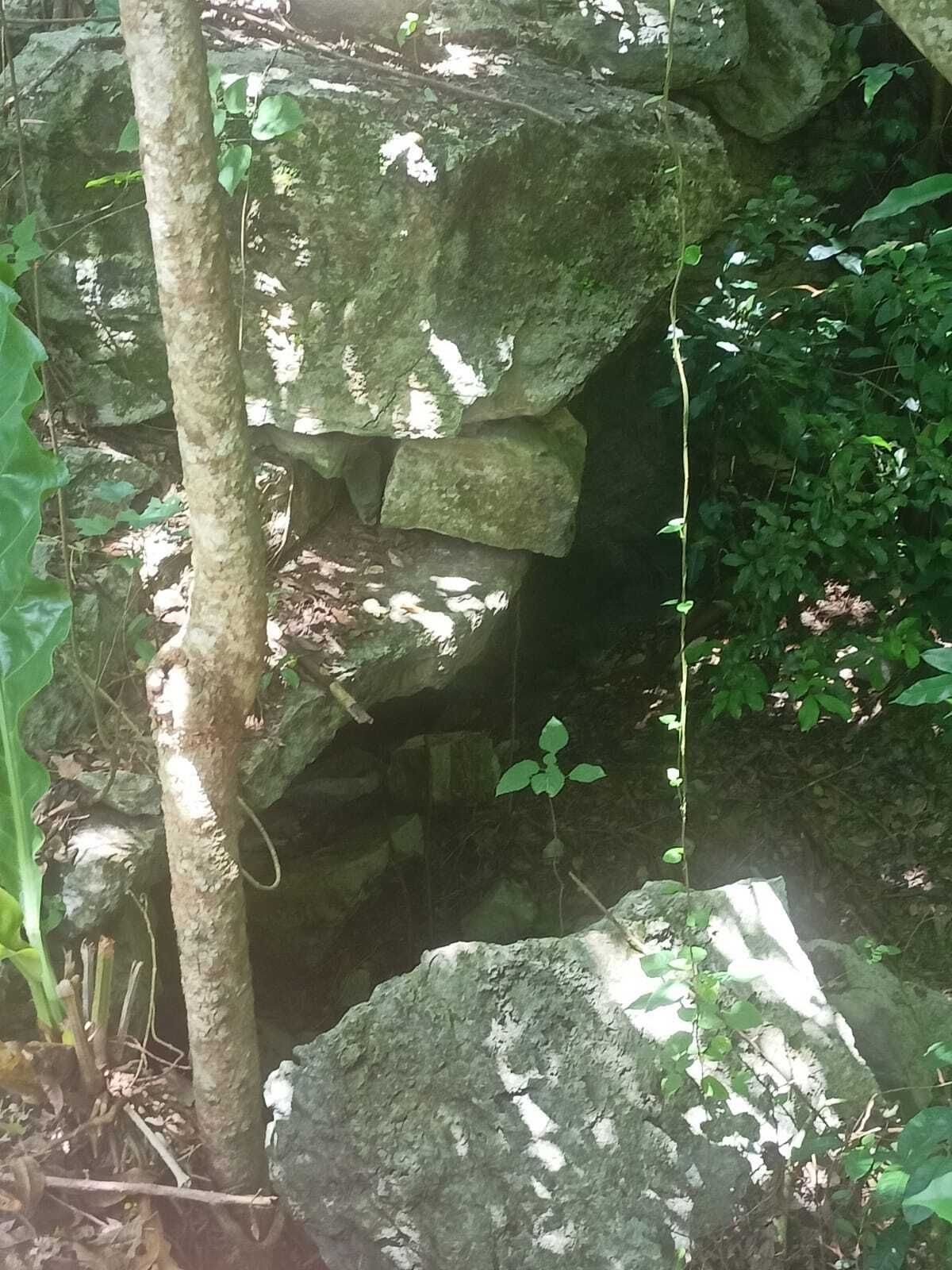 16 de 49