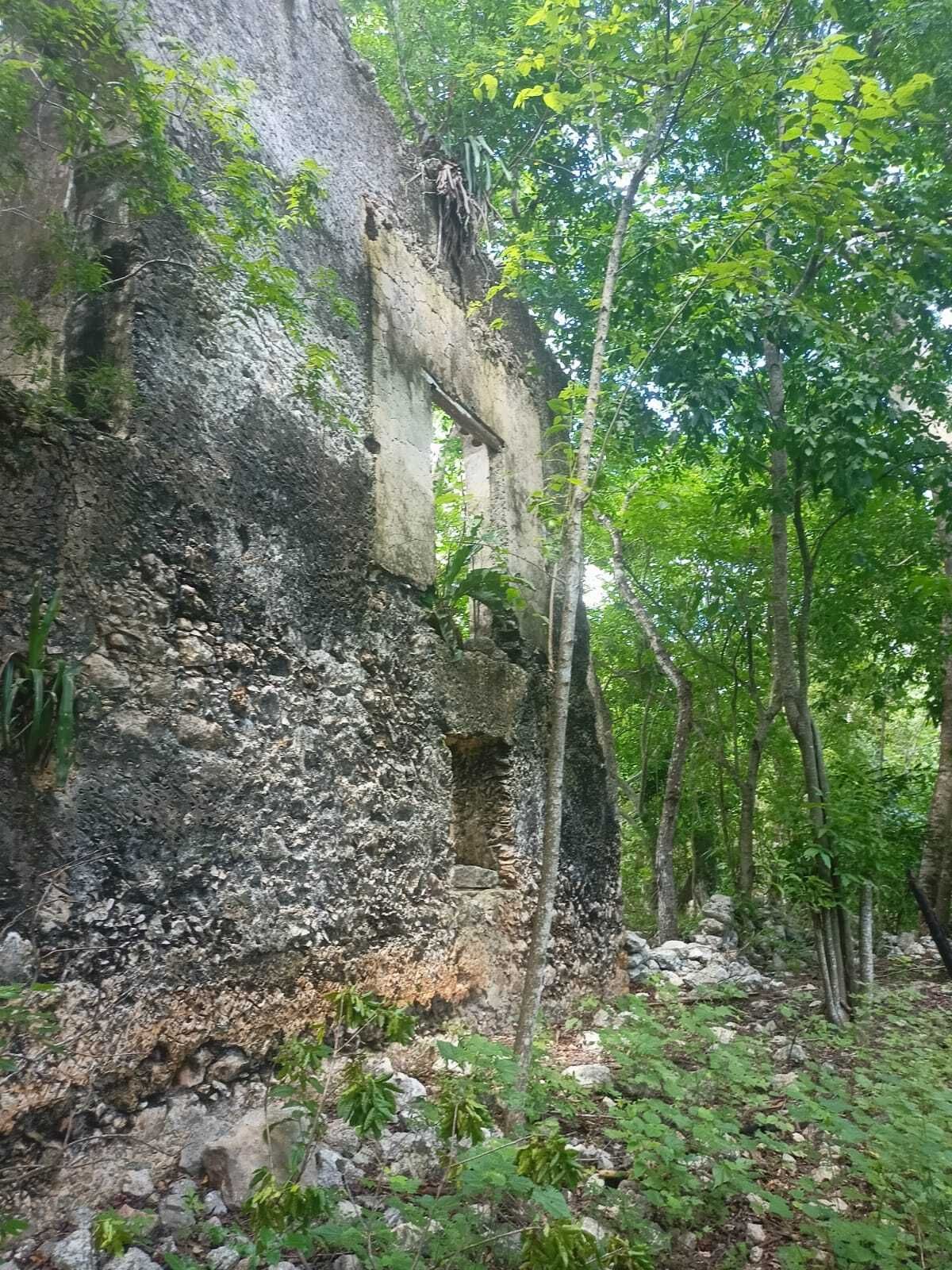 22 de 49