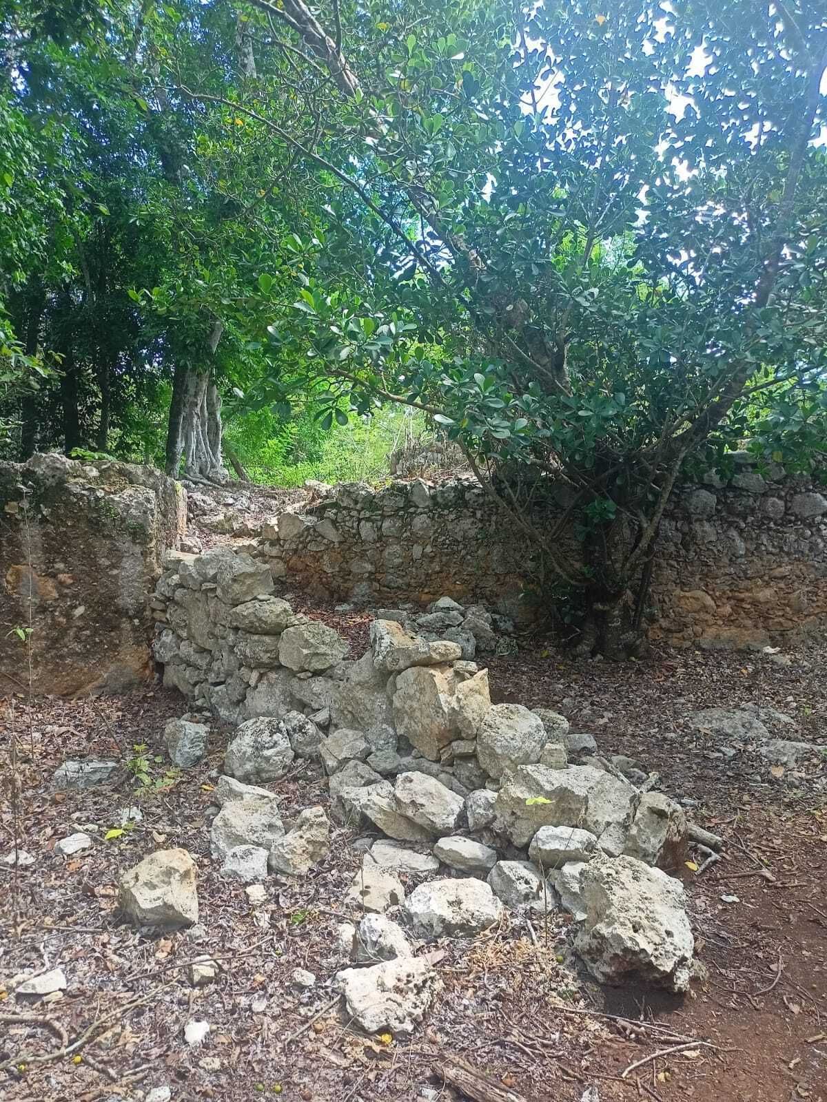 34 de 49