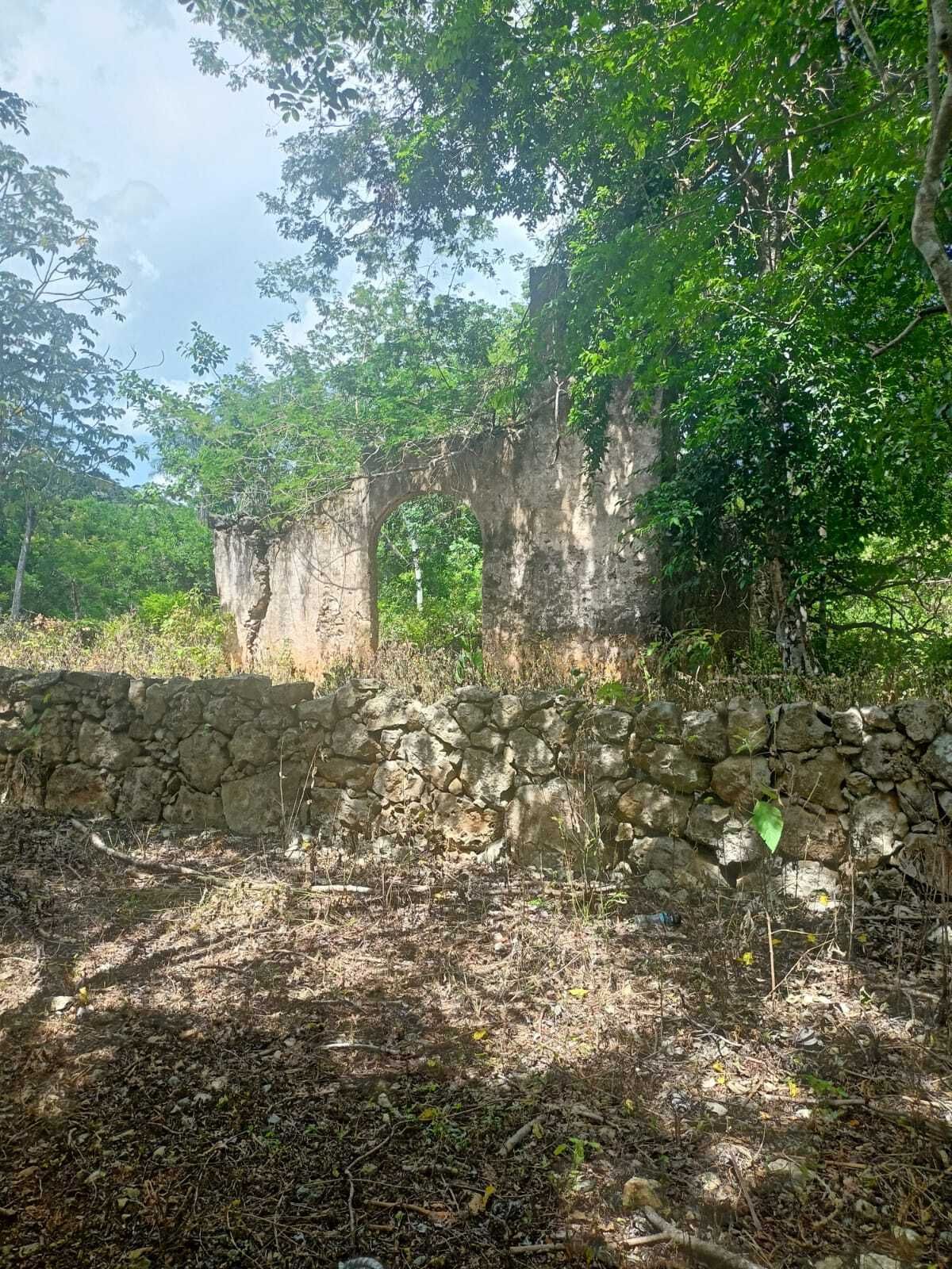 37 de 49
