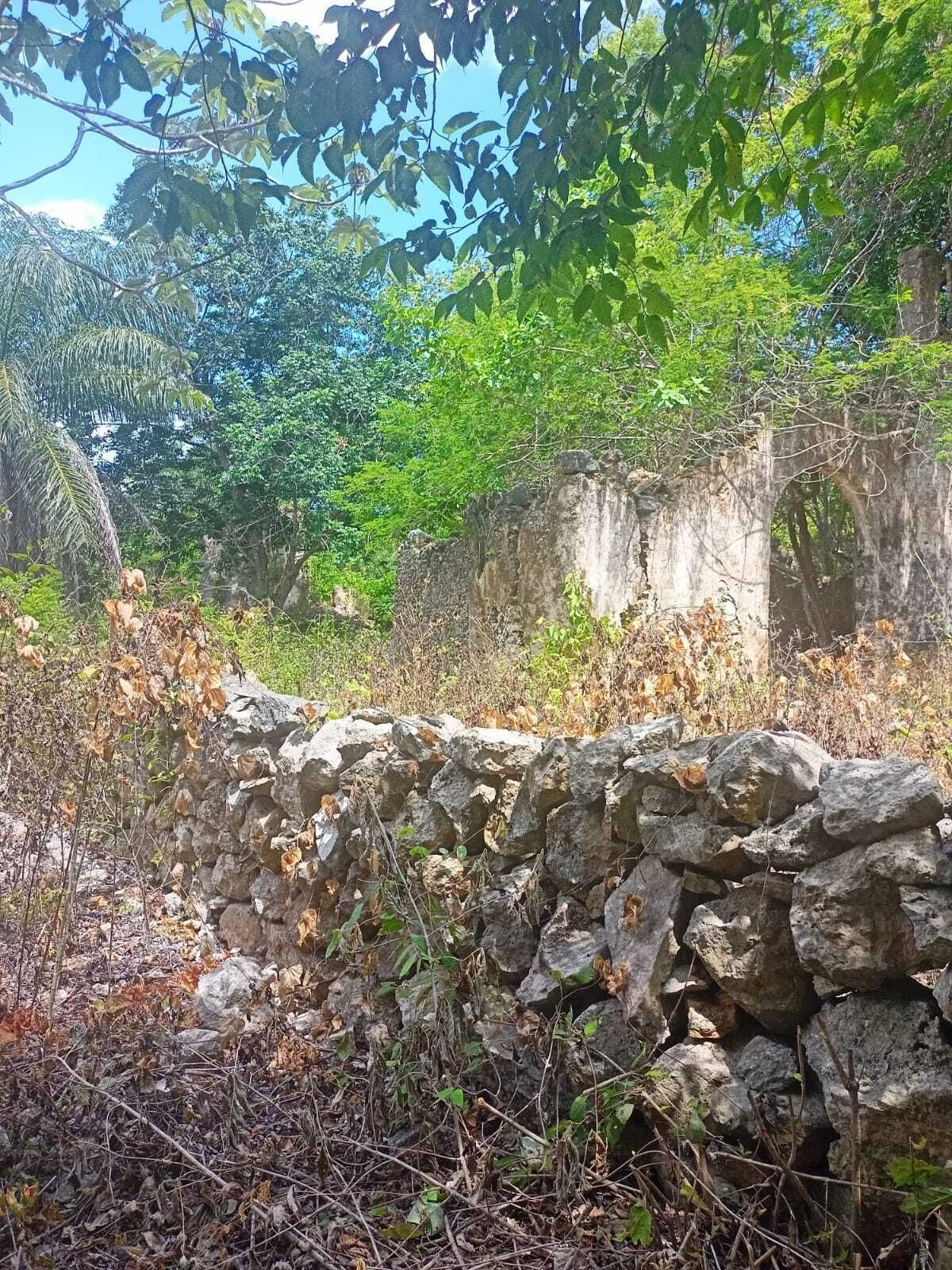 39 de 49