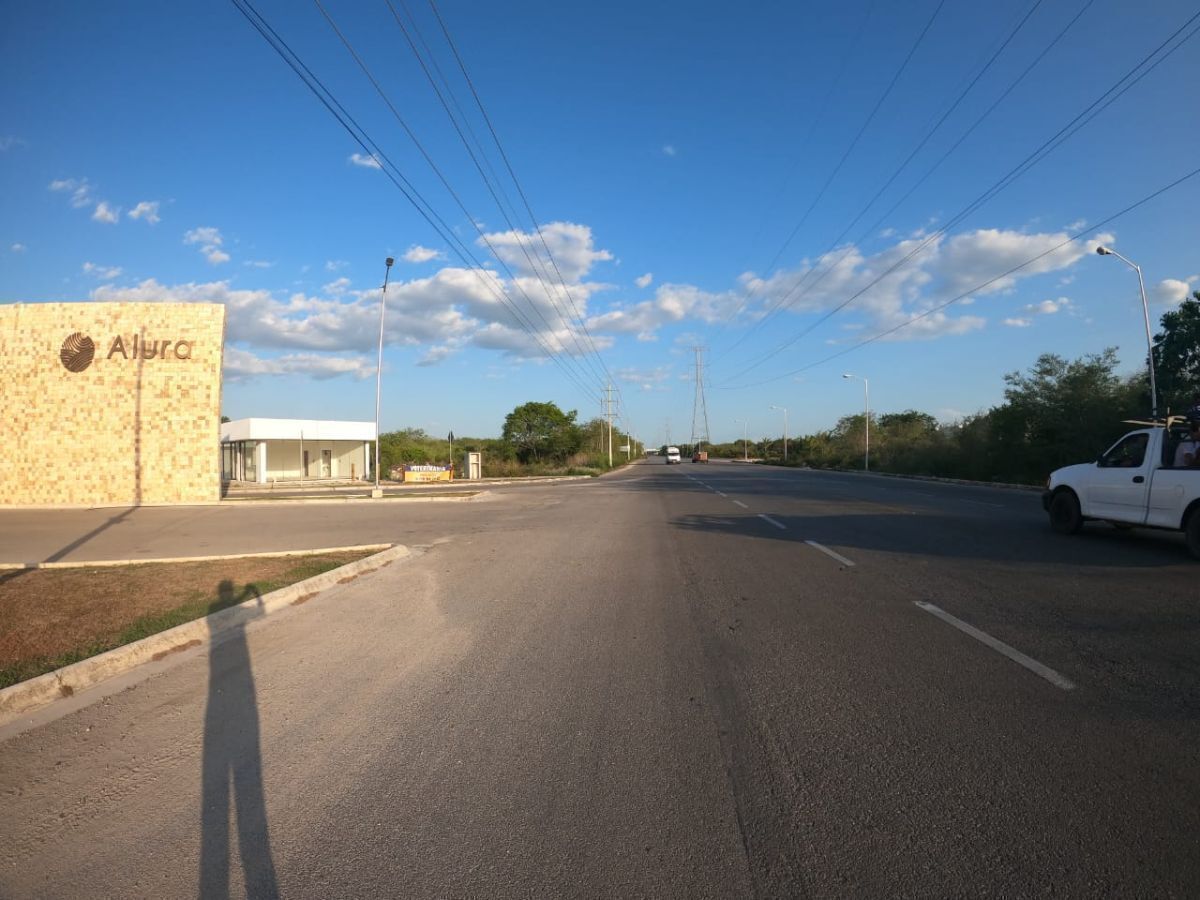 3 de 44