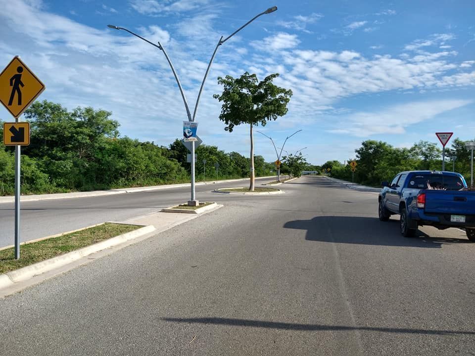 6 de 44