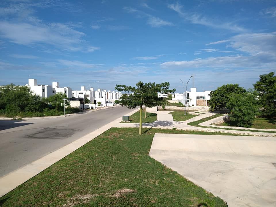 8 de 44