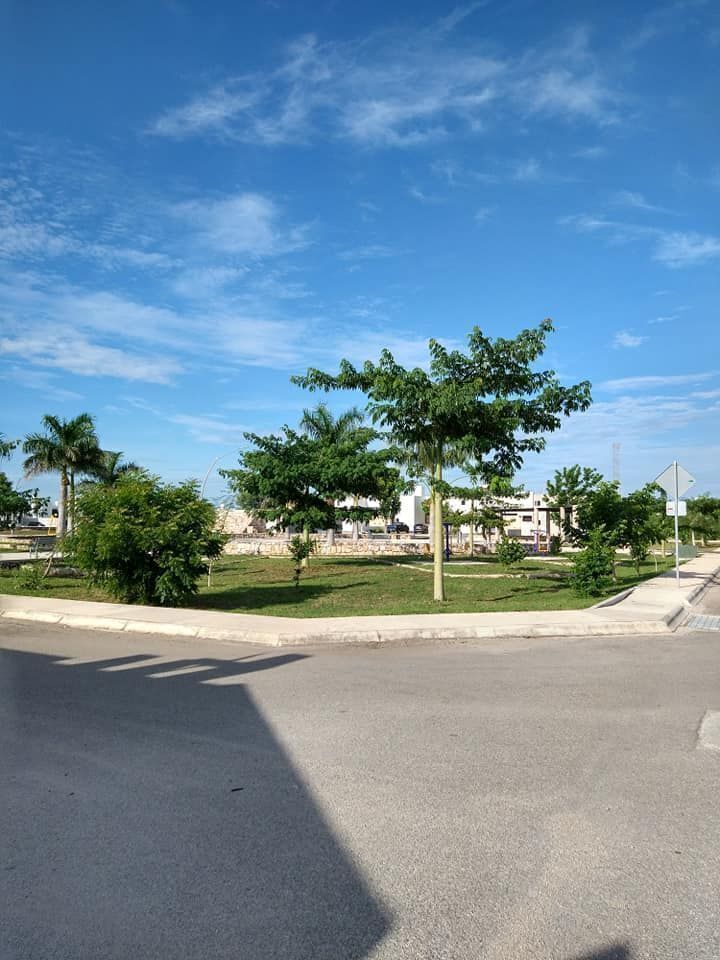 10 de 44