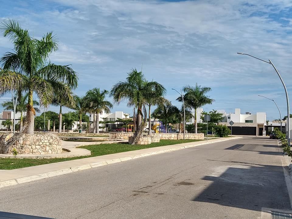 11 de 44
