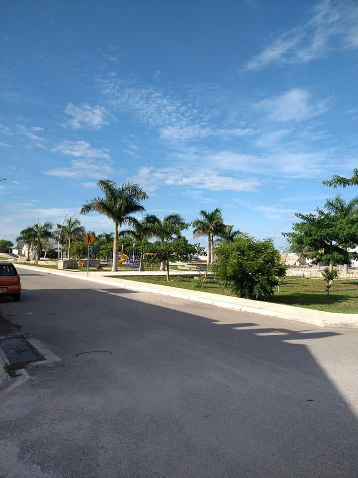 12 de 44