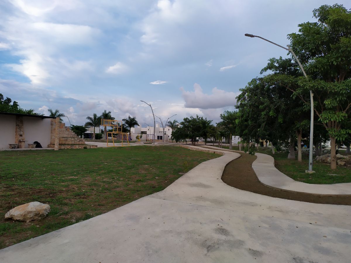 25 de 44