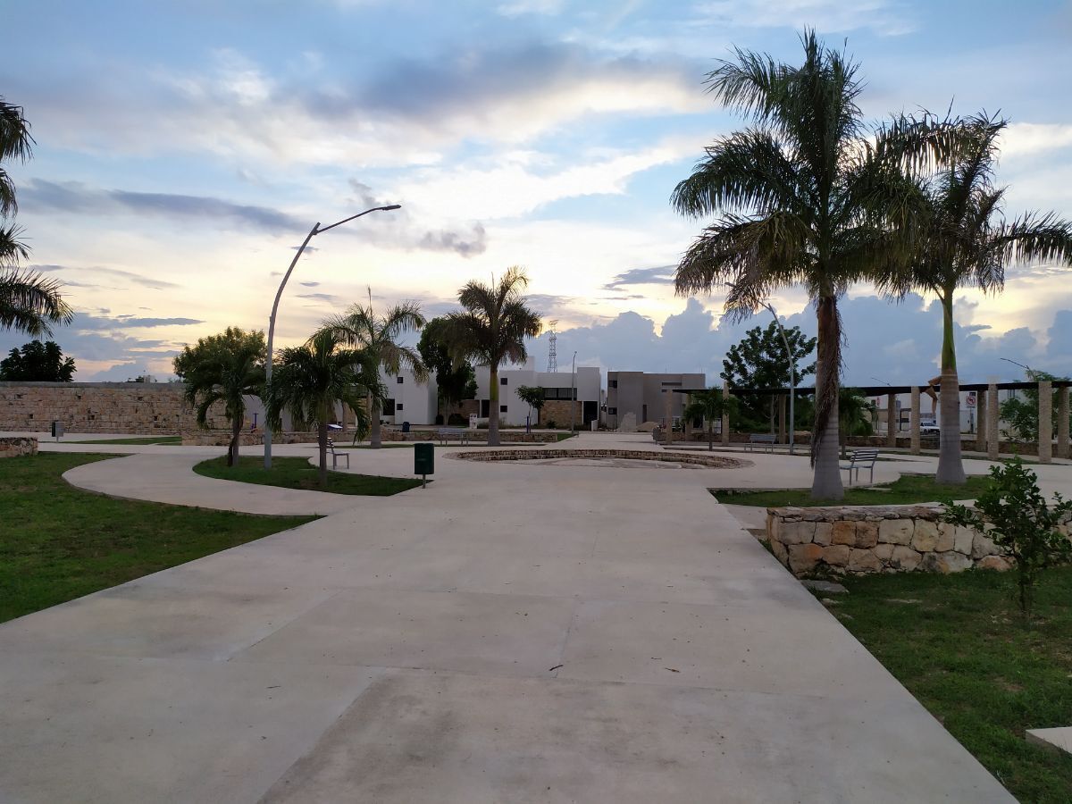 26 de 44