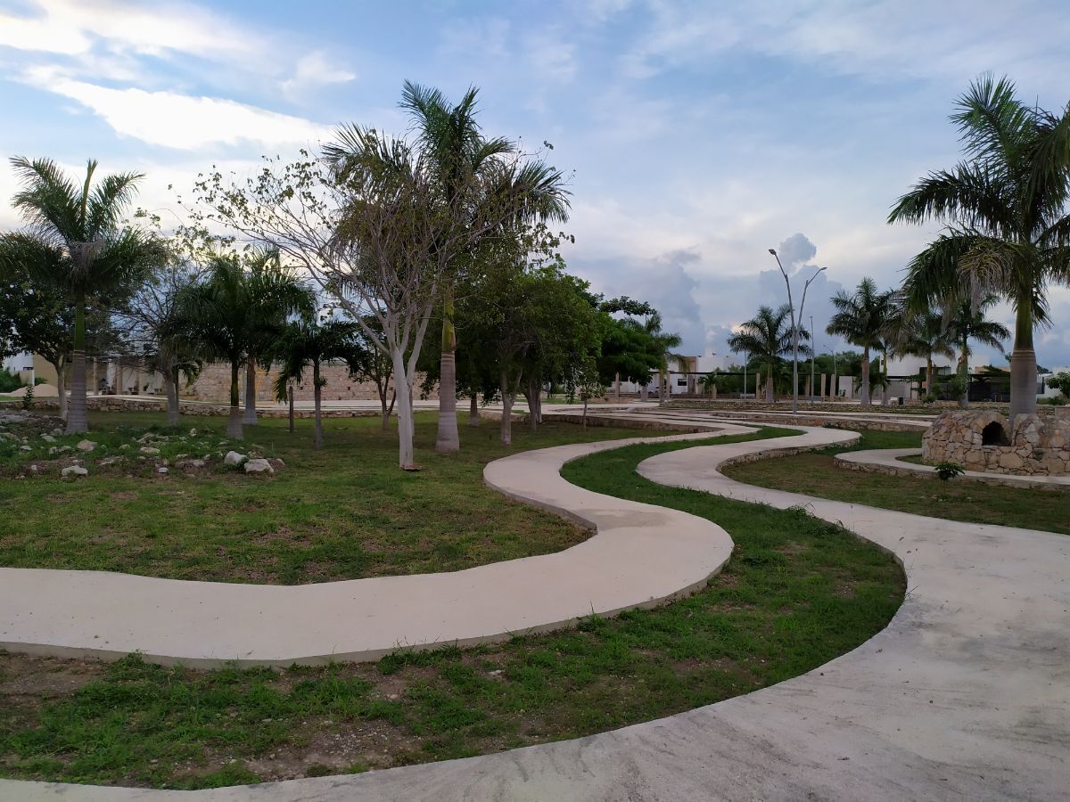 40 de 44