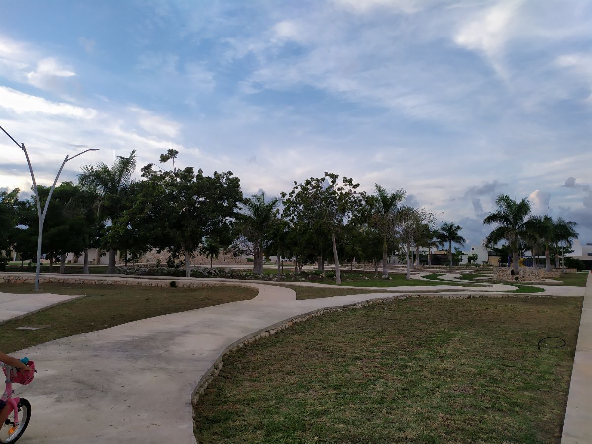42 de 44