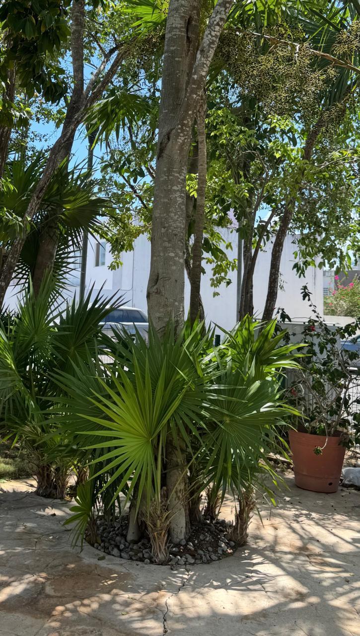 5 de 22