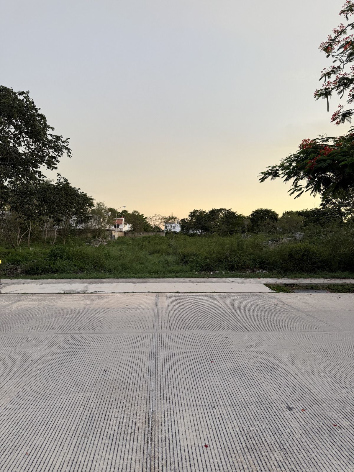 5 de 10