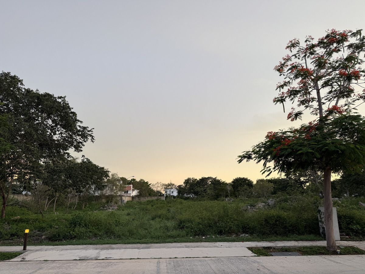 6 de 10