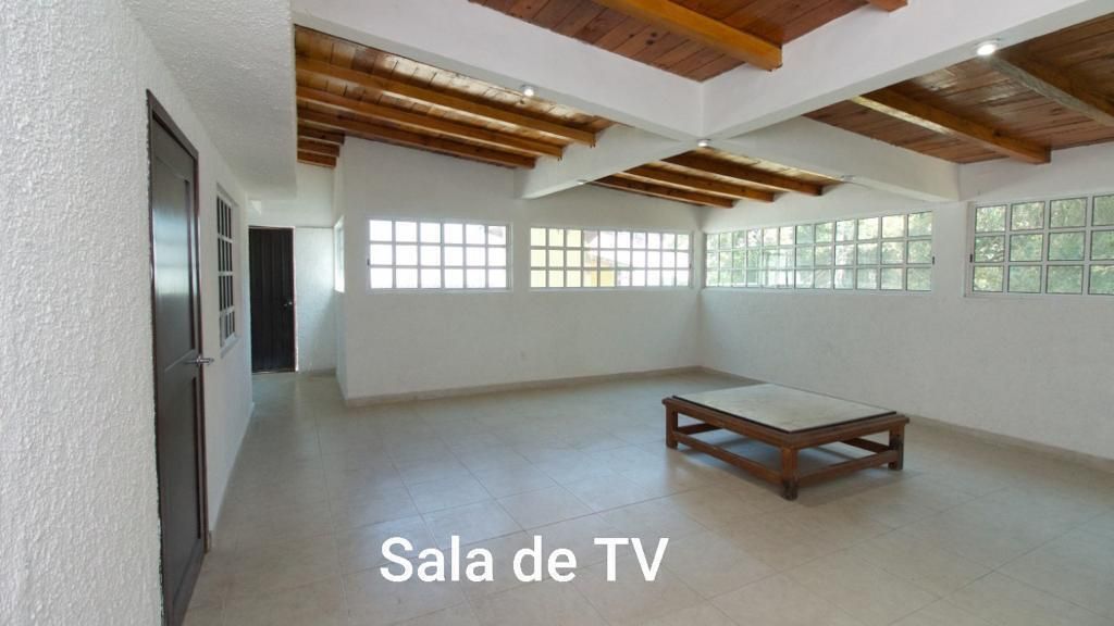 8 de 13