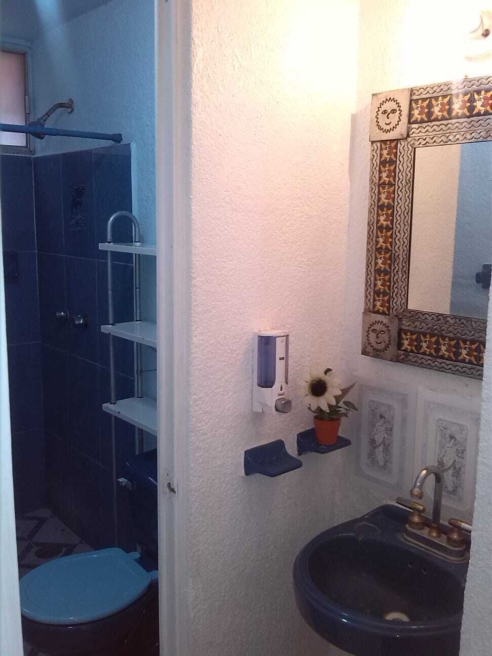 16 de 17